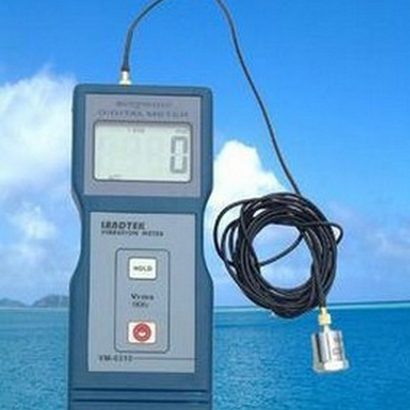 兰泰测振仪VM-6310振动仪 VM6310 振动仪 测震仪