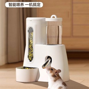 仓鼠自动喂食器金丝熊饮水器水壶食盆二合一宠物专用生活用品大全