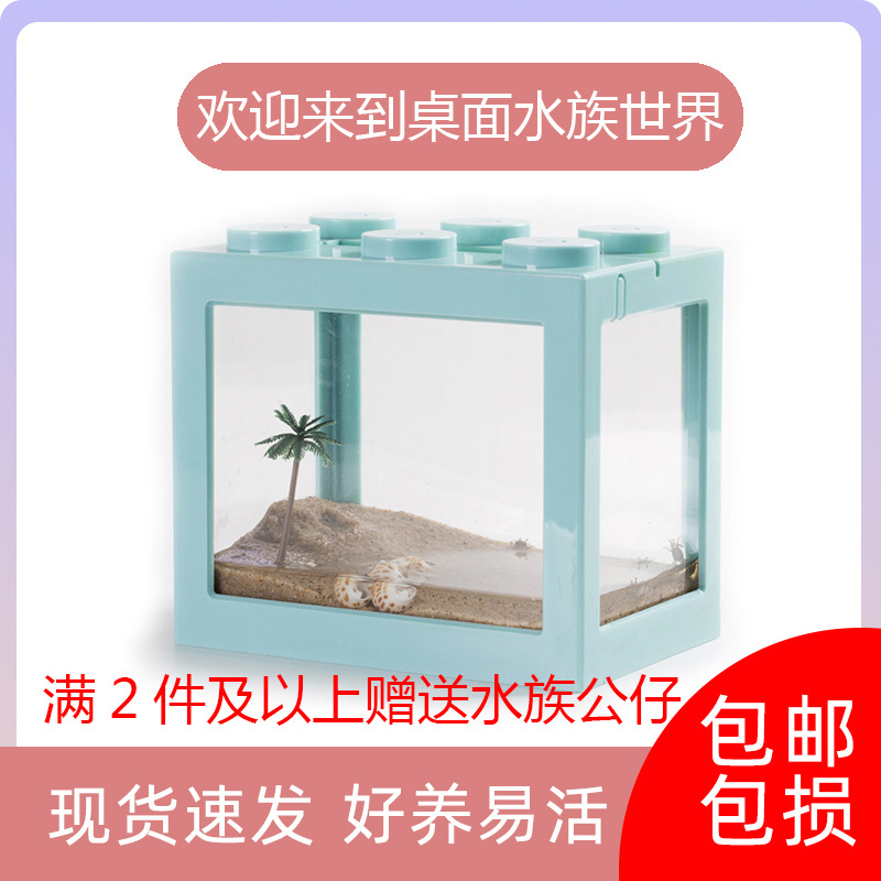 迷你活体宠物桌面积木鱼缸微景观吃土蟹好打理观赏螃蟹豆豆蟹大号