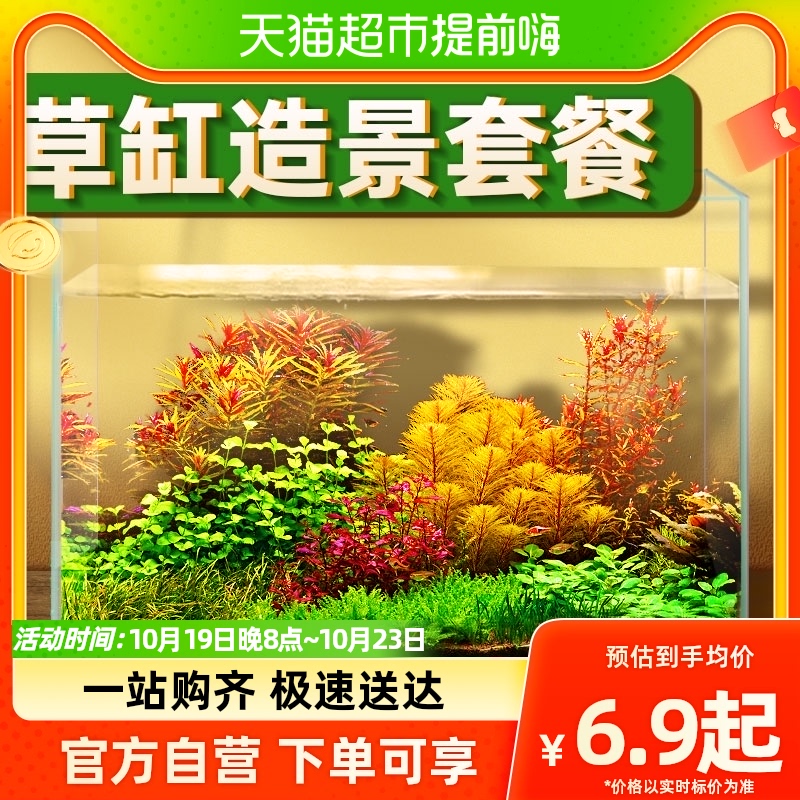 包邮水草植物鱼缸浮萍造景阴性活体红波趴地矮珍珠淡水榕沉木莫斯