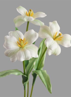 极速郁金香假g花仿真花摆设房间卧室客厅家居装饰餐桌摆件干花永