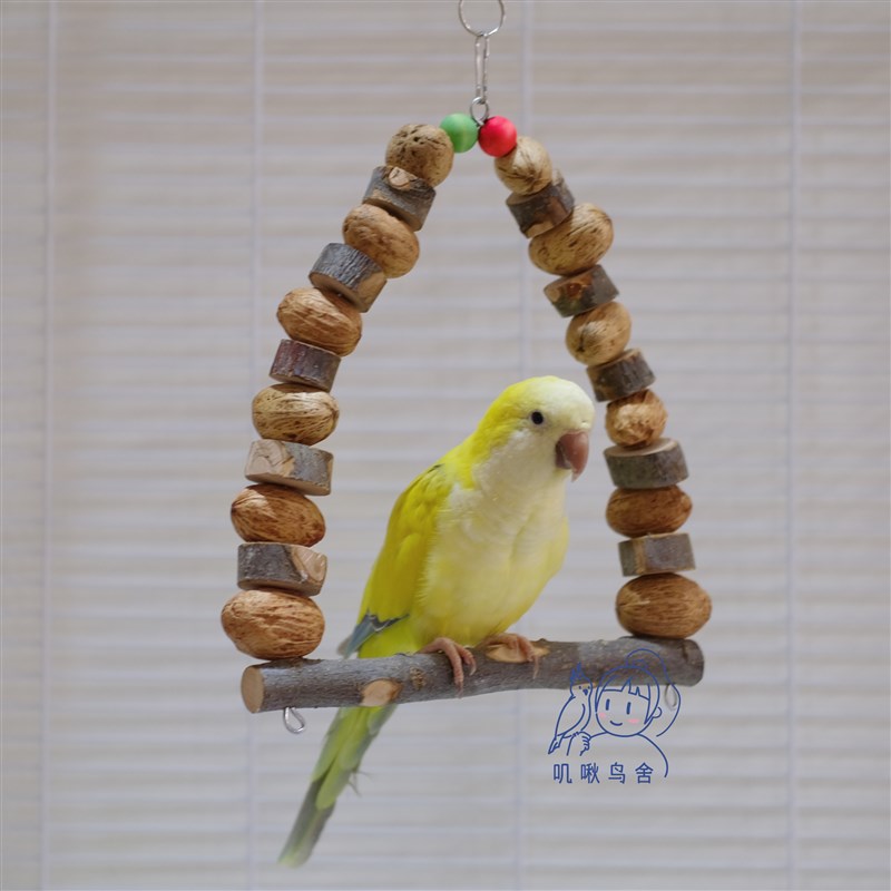 极速鹦鹉秋千 山核桃秋千L 好用的啃咬秋千