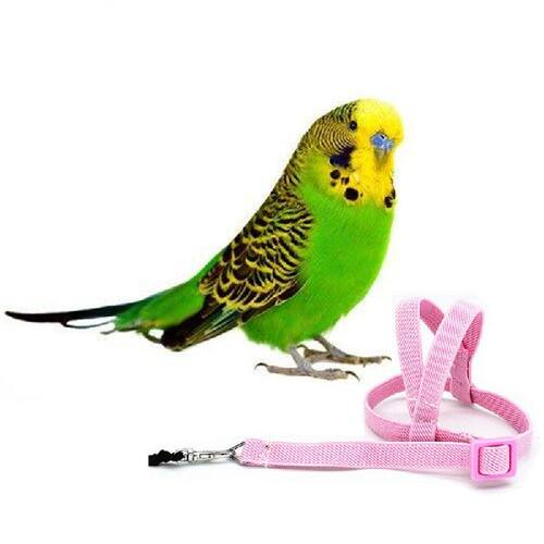 极速1Pc Antibite Flying TraininBg Rope Parrot Bird Pet Leash