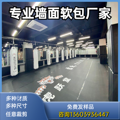 极速儿童少年搏击散打武术馆墙体C裙面柱子防撞磕碰摔倒软包防水