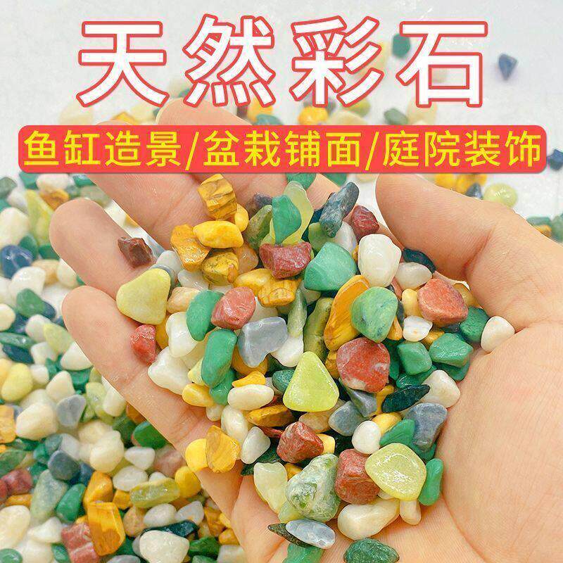 铺在花盆上的石子白玉兰花种花铺面石养花彩色小陶粒花雨石