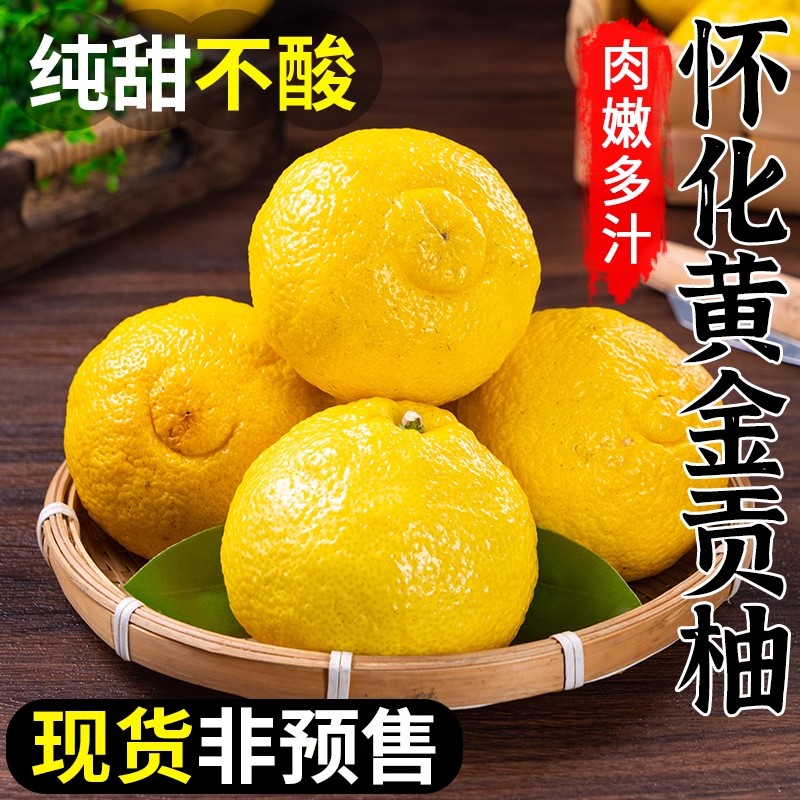 湖南怀化黄金贡柚新鲜水果小柚子纯甜象山青黄金柑孕妇水果柚子