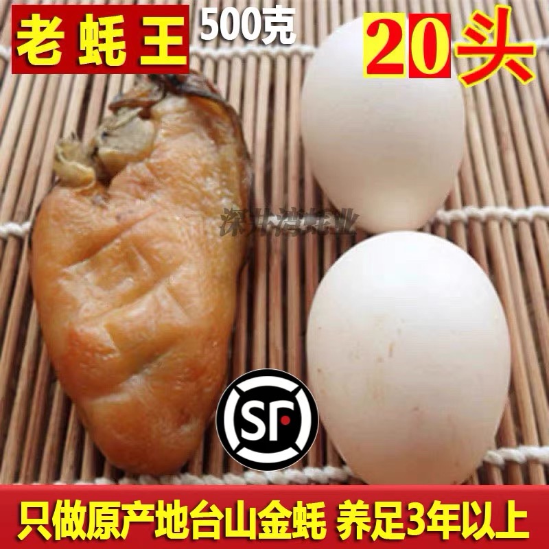 台山生晒金蚝王半干冷冻蚝豉海蛎子汶村生蚝干深井蚝非湛江金蚝