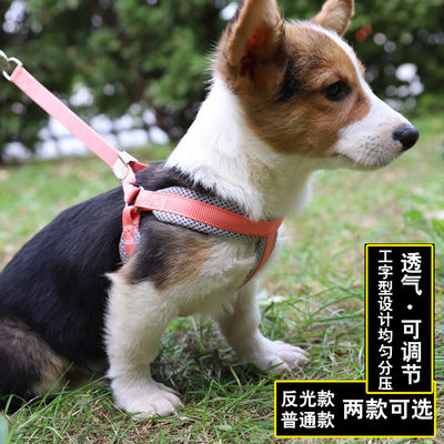 狗狗牵引绳小型犬狗绳小狗胸背带防挣脱博美比熊泰迪柯基幼犬专用