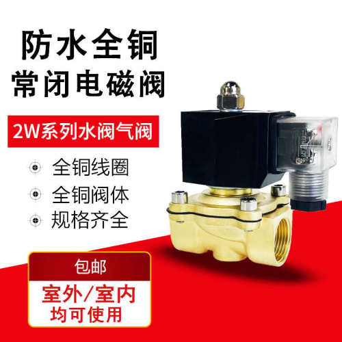 防水全铜常闭电磁阀水阀AC220V气阀DC24V控制开关阀12V 4分6分1寸