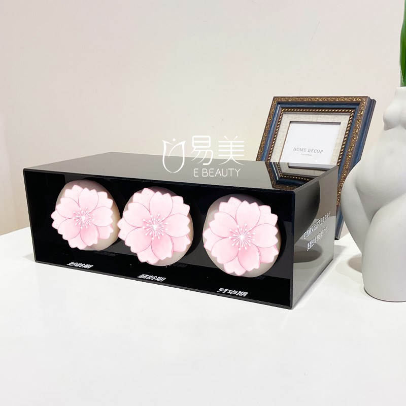 美容会所一探究竟MAX医学科普模型摆件医患沟通女生人体解剖场景