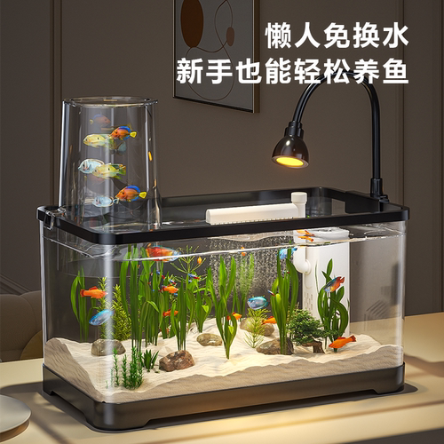 鱼缸过滤制氧一体机小型客厅2025新款免换水生态金鱼缸底滤桌面