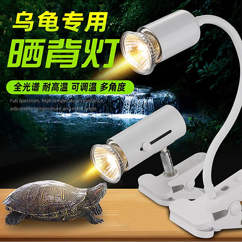 新疆包邮乌龟晒背灯uvb灯