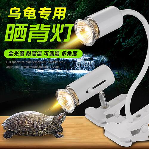 新疆包邮乌龟晒背灯uvb灯