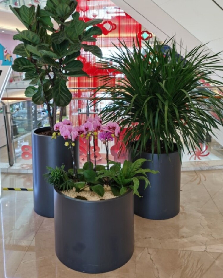 厂家直销花箱户外户外铁艺圆形花盆园艺阳台种植花坛围栏防污高端