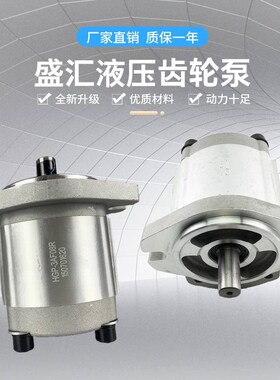 新款台湾HGPe-3A-F4R/F6R/F8R/F11R/F13R/F14R/F17R/F19R高压齿轮