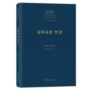 古希腊 智者 柏拉图著 泰阿泰德 新华正版