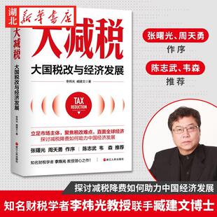 财之道丛书 大减税 大国税改与经济发展 知名财税学者李炜光教授潜心之作 聚焦税改难点 探讨减税降费如何助力中国经济发展 正版
