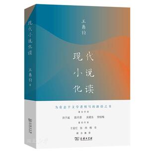 现代小说化读