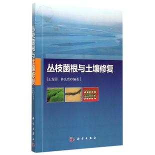 丛枝菌根与土壤修复