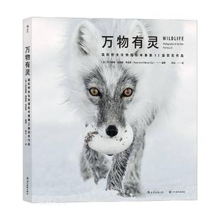 万物有灵:国际野生生物摄影年赛第53届获奖作品