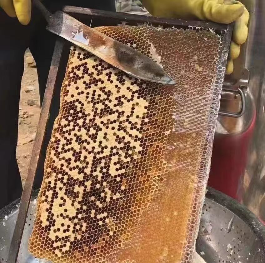 纯正天然土蜂蜜农家自产无添加百花荆条结晶采野生正宗洋槐花峰蜜