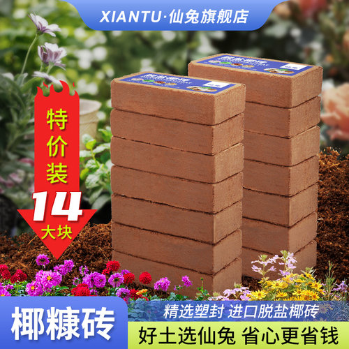 仙兔进口椰砖脱盐处理好泡发