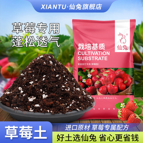 仙兔草莓专用营养土疏松透气