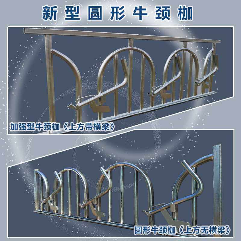 圆形牛颈枷新款圆式牛颈夹牛场养殖设备牛围栏牛脖夹自锁式牛颈夹