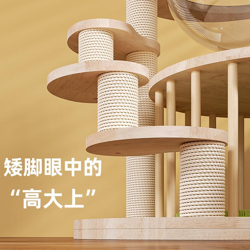 矮脚猫专用猫爬架猫窝一体小型猫抓板实木跳台幼猫短腿专用猫架图片
