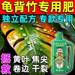 龟背竹营养液肥料专用肥干枯发黄锈病叶斑病植物营养液水培营养液