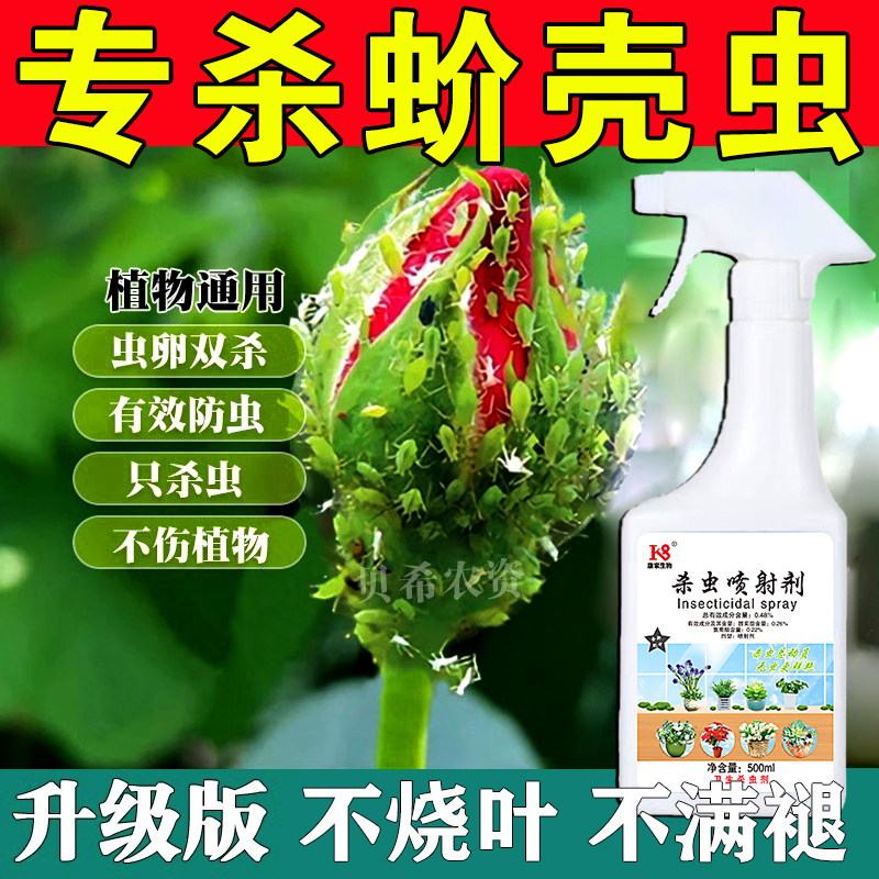 多肉蚧壳虫专用杀虫剂