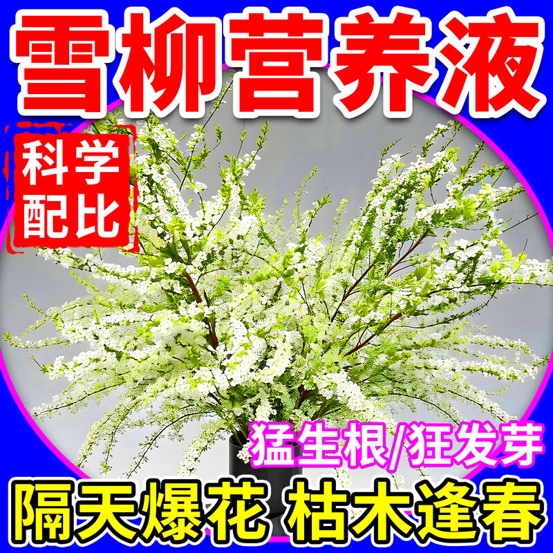 雪柳营养液水培植物干枝促生根发芽爆开花保鲜剂防枯发霉病虫肥料,鲜花速递/花卉仿真/绿植园艺,家庭园艺肥料,淘宝优惠券,粉丝福利购,淘宝优惠卷