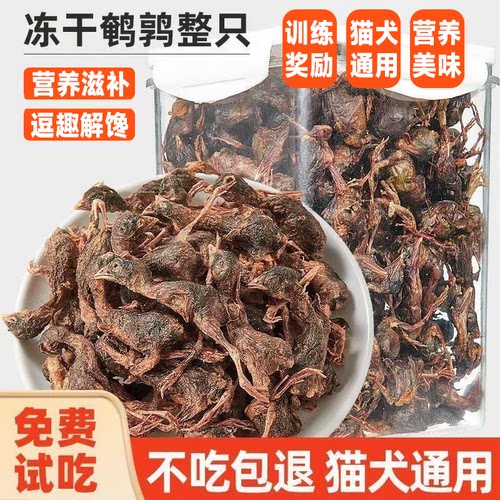 鹌鹑冻干猫零食狗狗宠物零食猫粮猫咪营养品健齿整只无毛营养美味