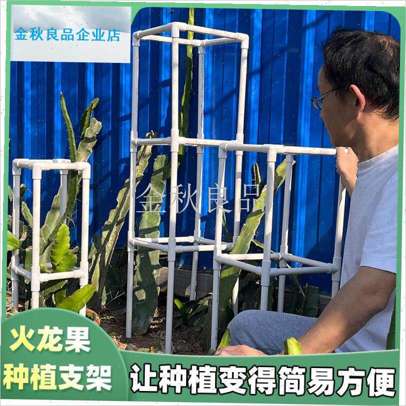 龙果支架PVC种植n专用支撑架子花架盆栽地栽火龙果苗支架配件.