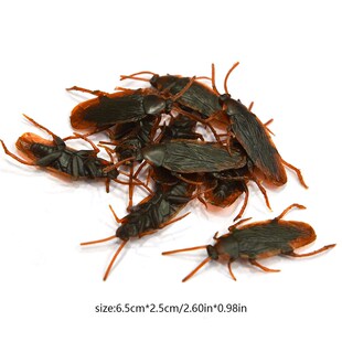 新品10pcs 20pcs Fakoe Cockroach Novelty Roaches Bugs Realist