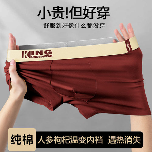 2025青少年男生透气平角短裤头