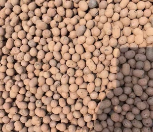 陶粒 预防积水闷根 换盆时铺底使用