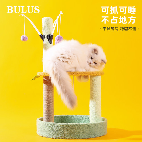 BULUS猫爬架小型带猫抓柱逗猫棒