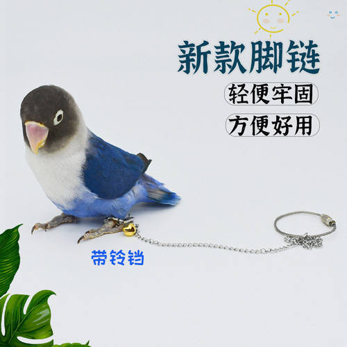 鹦鹉鸟脚环脚活扣开口环不锈钢鸟脚链轻便脚套足环八哥站架鸟环