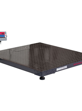 平台秤DEFENDER? 5000 LOW PROFILE FLOOR PLATFORMS