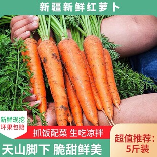 新疆特产红萝卜农家自种新鲜蔬菜胡萝卜抓饭配菜即食现挖生吃水果