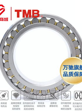 TMB/天马精工NN3022K/P5W33(HS精密)精密机床双列圆柱滚子轴承