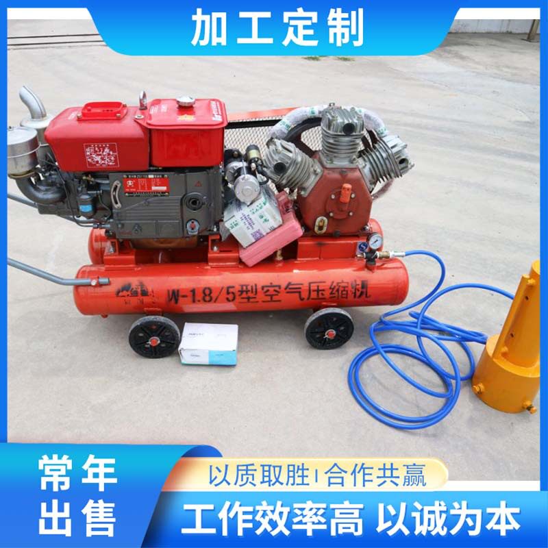 小型防汛打桩机 手持式便携式 河堤抗洪强险植装机