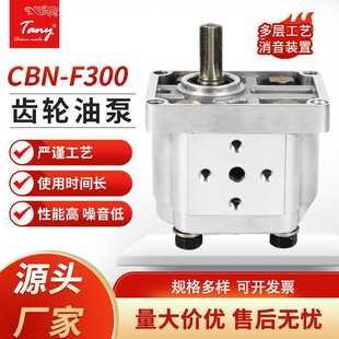 工业高压齿轮泵CBN 厂家供应增压泵 F300齿轮油泵