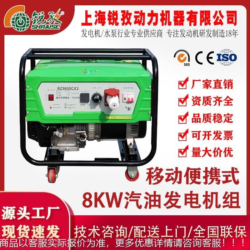上海锐孜8KW汽油发电q机 8千瓦小型燃气汽油两用发电机组 家用车