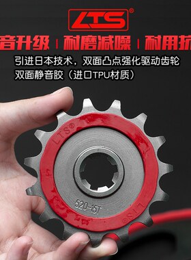 适用贝纳利小黄龙BJ250/幼狮250/TNTF25/TRK251静音征和油封链条