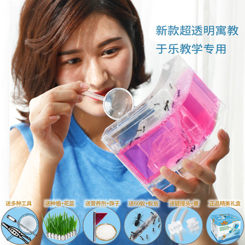 蚂蚁工坊城堡生态沙巢窝活体小宠观察玩具别墅家庄园盒子弓背蚁后