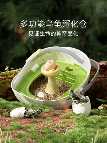 乌龟蛋可孵化成长舱家养小乌龟专用缸饲养盒爬梯活物儿童观察套装
