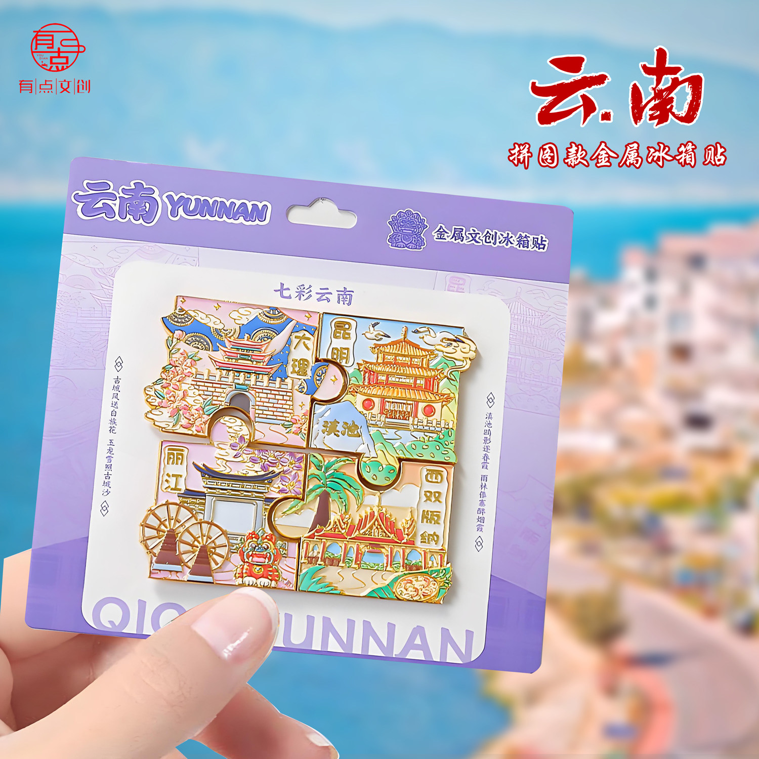 云南金属冰箱贴菌菇地图拼图大理丽江昆明西双版纳旅游纪念品礼物