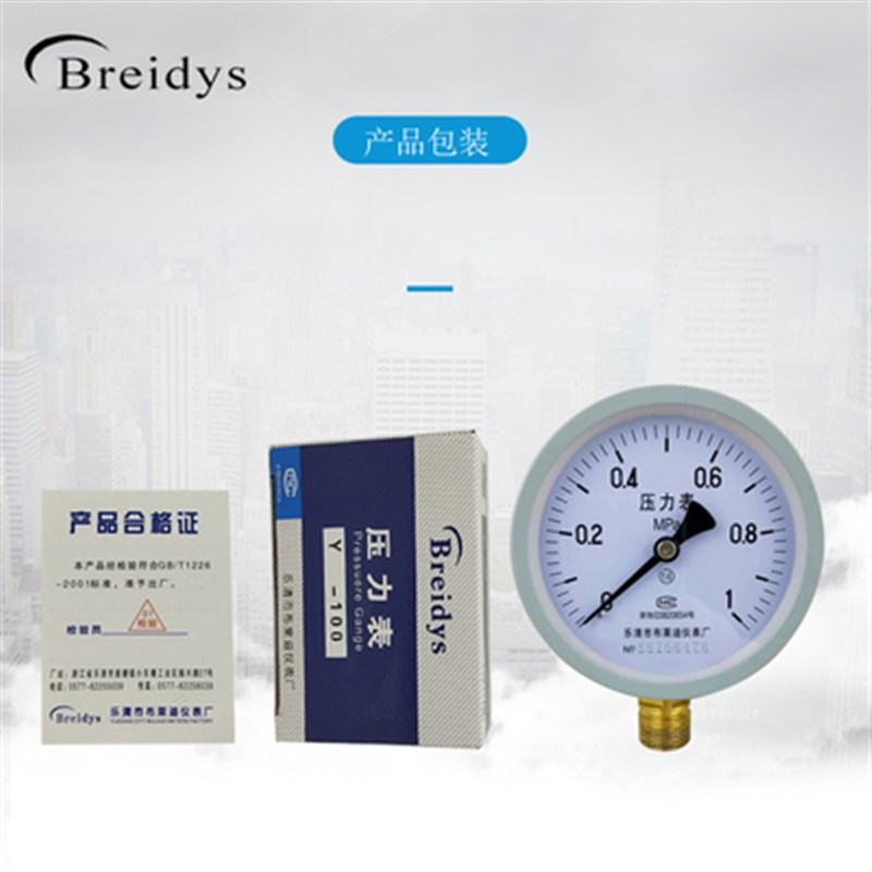 压力表Y100不锈钢普通压力表水气压油压通用 0-1.6/100mpa多量